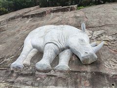 -哈尔滨北方森林动物园