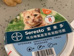 -睿金宠物医院·CT·肿瘤·骨外科