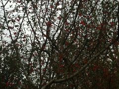 -白鹭湾湿地公园