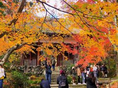-常寂光寺