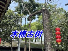 -南海神庙
