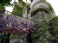 -得丘礼享谷·玉兰苑