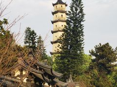 -江心屿景区