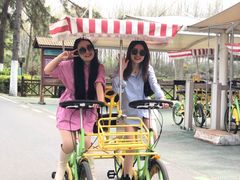 -合肥滨湖国家森林公园