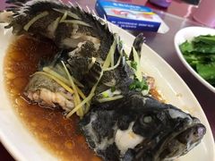 清蒸石斑鱼-三亚老渔民海鲜店