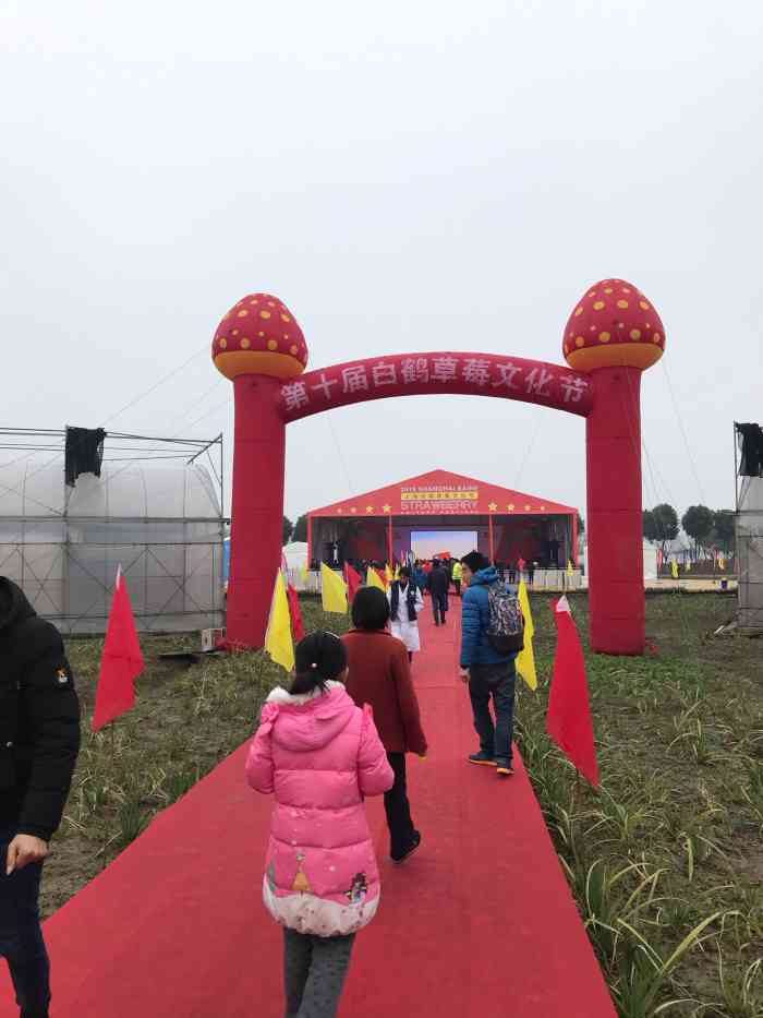 青浦白鹤草莓产业园图片