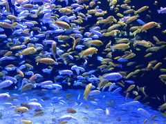 -成都浩海立方海洋公园