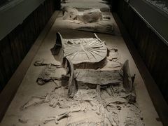 -北京大葆台遗址博物馆