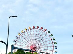 -成都南湖公园