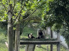 -碧峰峡风景区