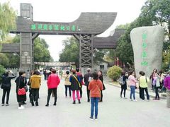 -溱湖国家湿地公园