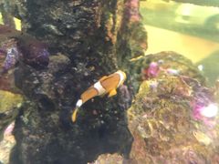 -尚泰清迈机场购物中心