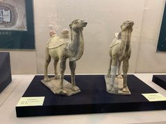 -安阳博物馆