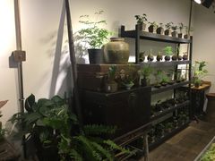 -植觉
