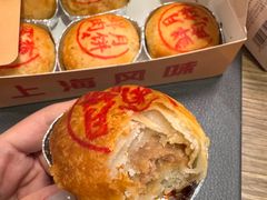 鲜肉月饼-泰康食品(南京东路店)