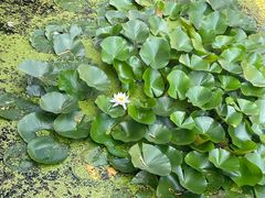 -长春市南湖公园