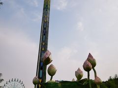 -南京银杏湖乐园