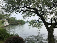 -浙江西子宾馆·牡丹厅