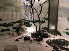-淀里船宴(裕华东路店)