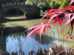 -韩湘水博园