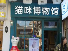 -猫咪博物馆(顶澳仔猫街店)