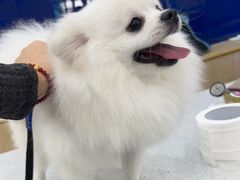 -芭比堂动物医院·24小时·眼科中心(深圳中心)