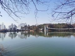 -东湖落雁景区