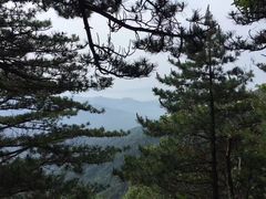 -内乡宝天曼生态旅游区