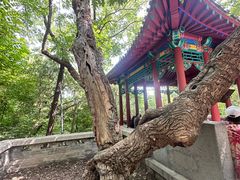 -千佛山风景名胜区