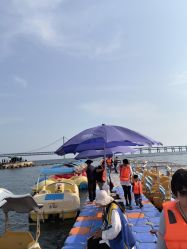 -星海水上乐园(星海广场圣亚店)