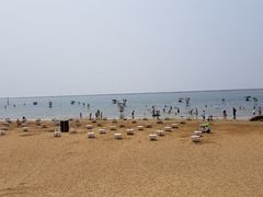 -碧海金沙