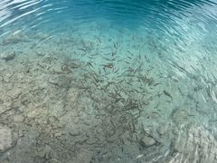 -九寨沟-树正沟