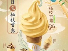 -麦当劳(农光里店)