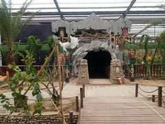 -呀路古热带植物园