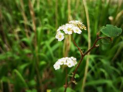 -碓臼峪自然风景区