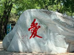 -沈阳植物园