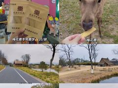 -良渚古城遗址公园