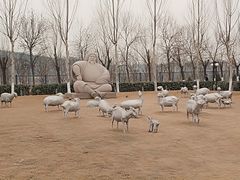 -九十九顶毡房(阜石路店)