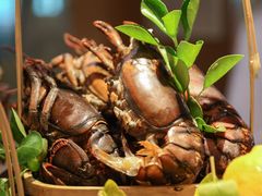 -济南香格里拉·咖啡泉自助餐厅