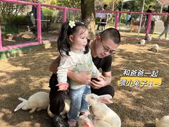-白马涧龙池景区