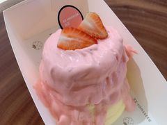 -狐狸和向日葵(北京路店)