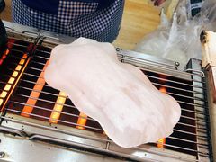 -内涵饵块
