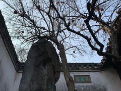 -留园
