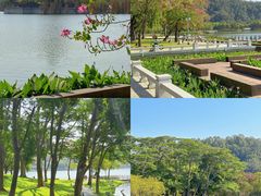 -顺峰山公园
