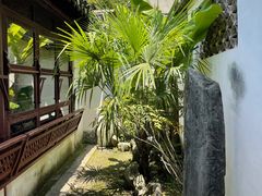 -上海醉白池公园