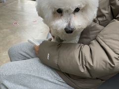 -美联众合动物医院·24h转诊中心