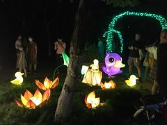 -昆山城市生态森林公园