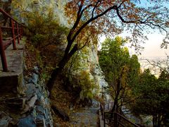 -北京鹫峰国家森林公园