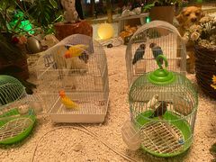 -武汉华美达光谷大酒店