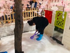 -Mr·Kuma酷么先生雪之乐园